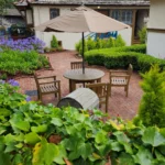 IMG_20230801_111527_222