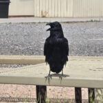 20240807_141639