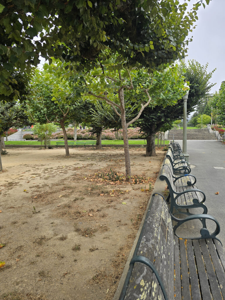 20240810_141147