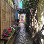 IMG_20240811_161649_750