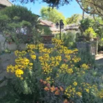 IMG_20240811_161930_253