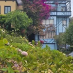 IMG_20240823_160747_576