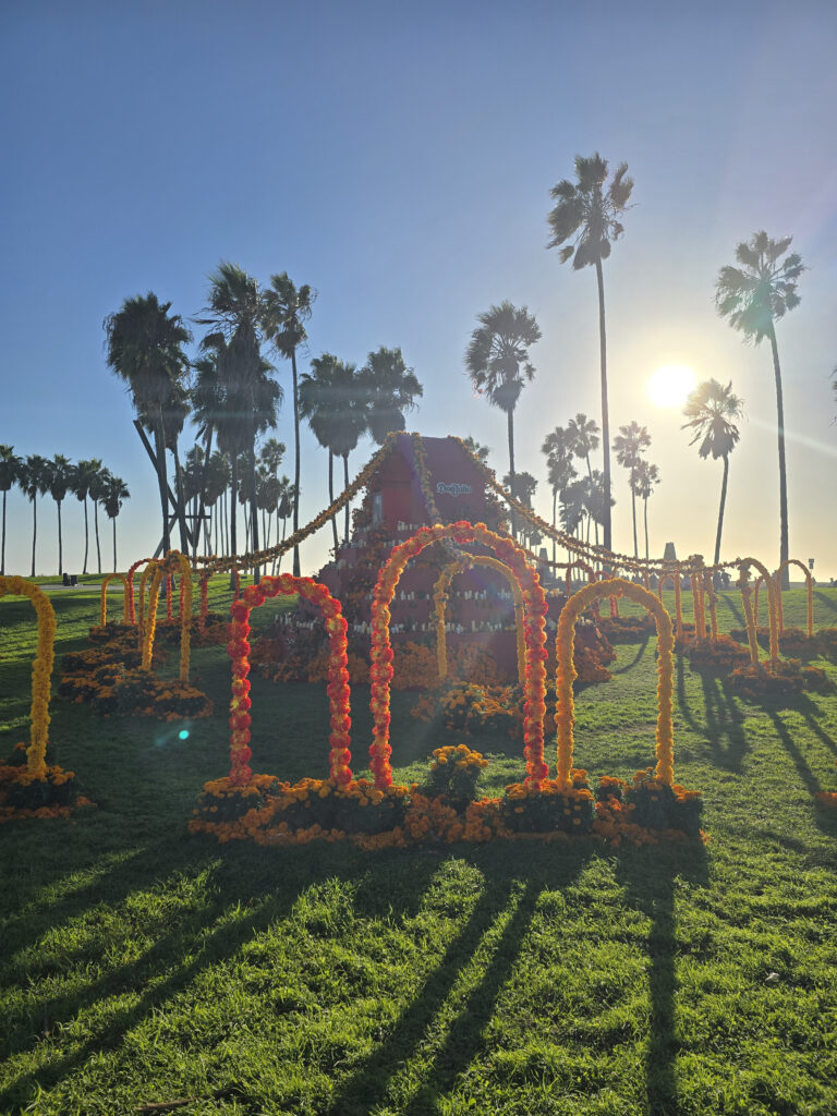 20241029_164658
