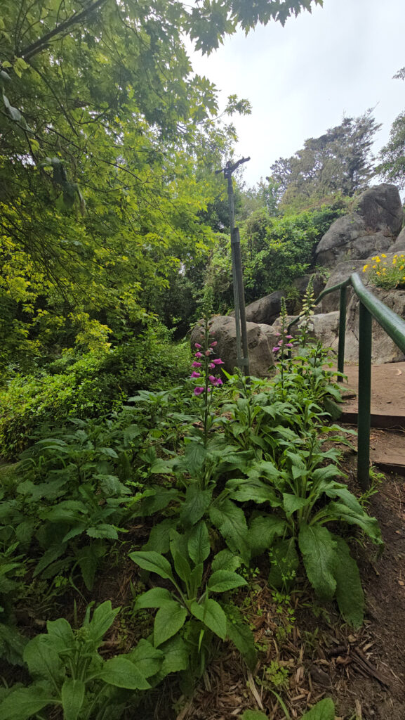 20250807_122455