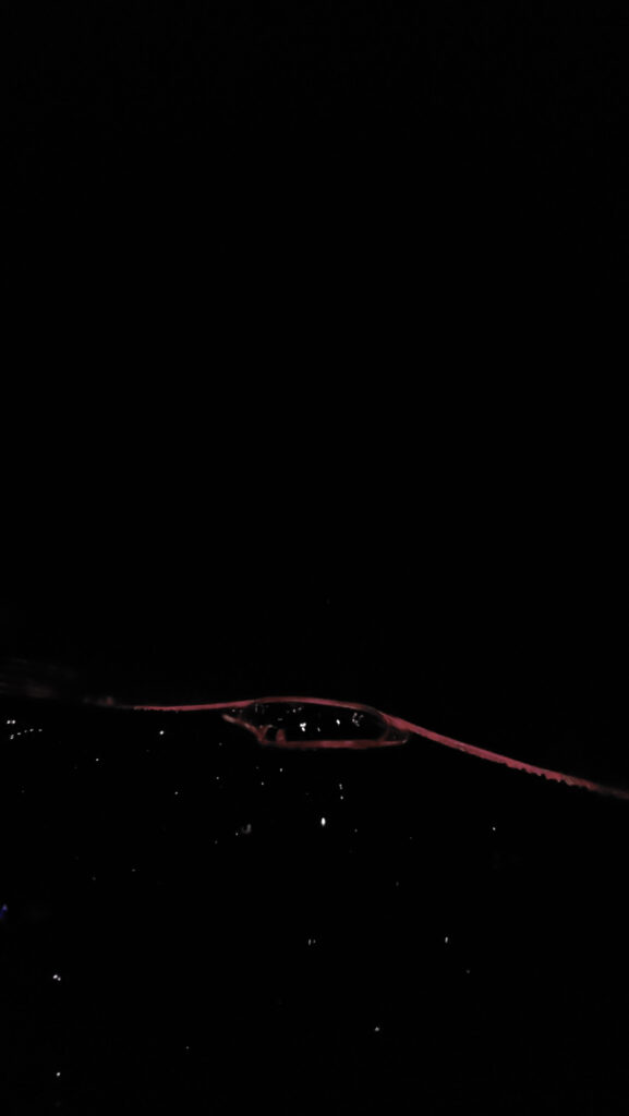 20251017_232648
