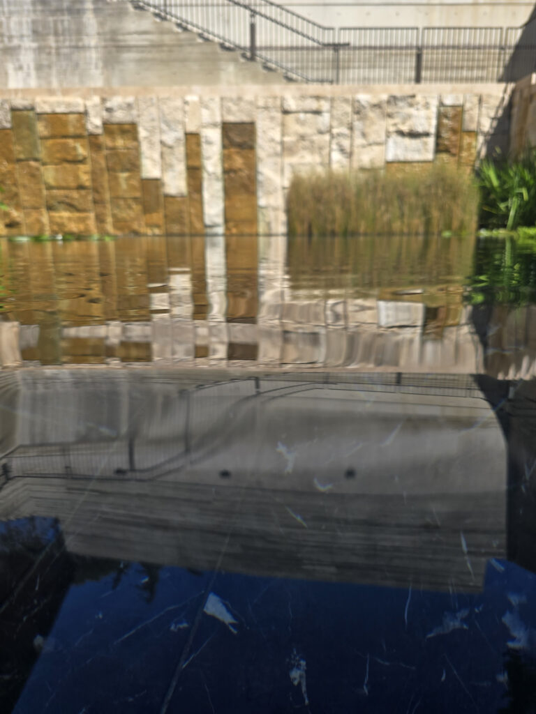 20260318_122145