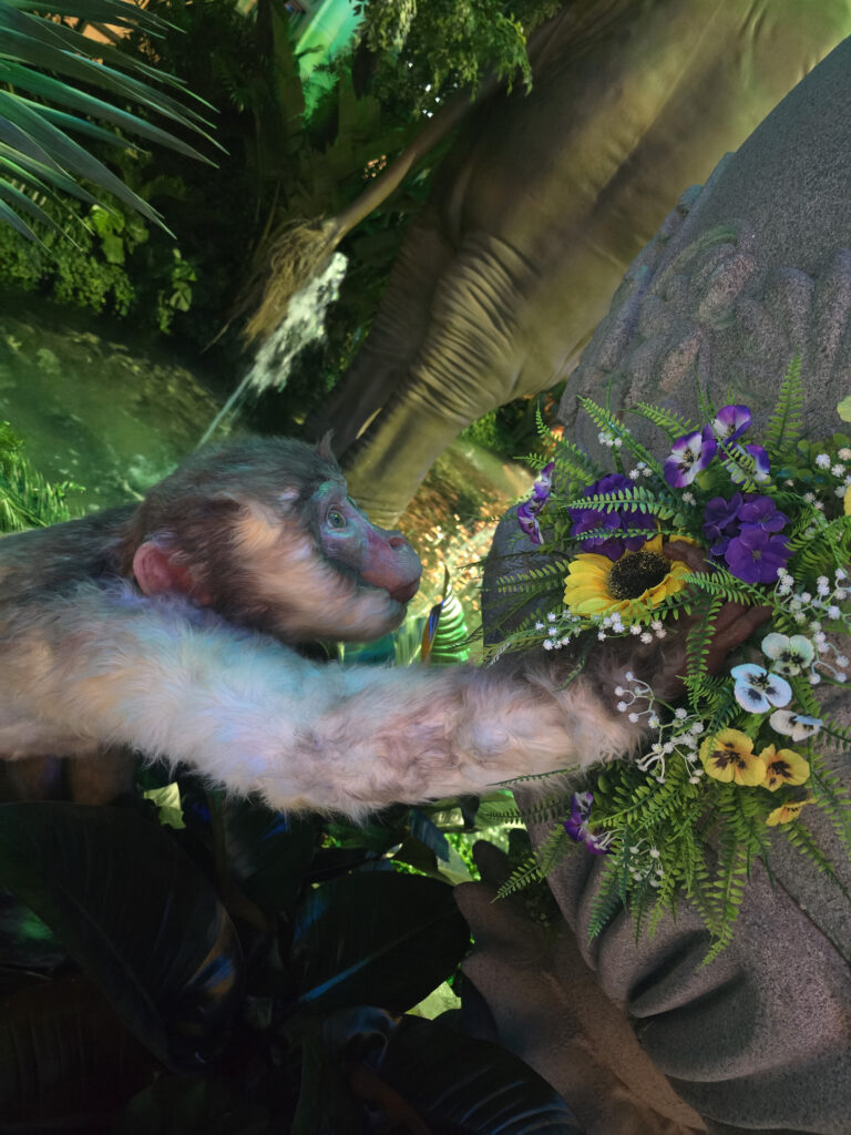 20260624_011758
