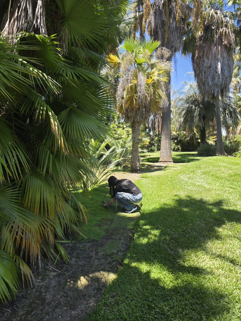 20260708_121400
