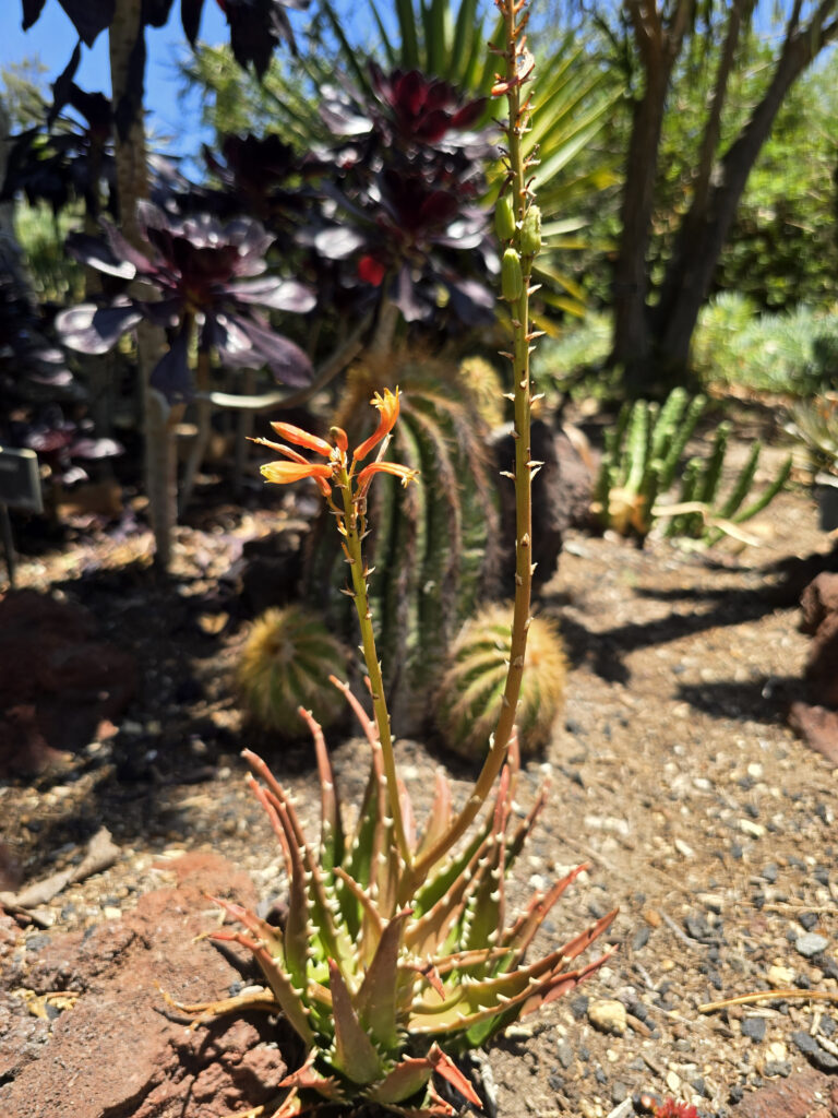 20260708_122449
