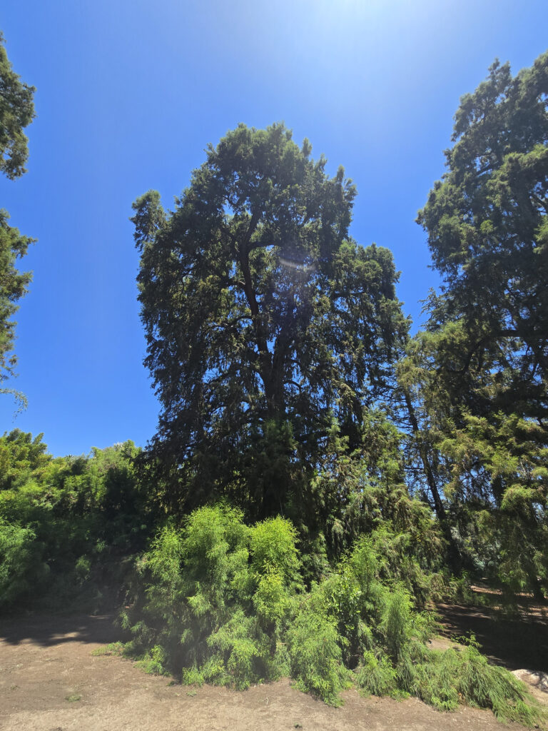 20260708_123813