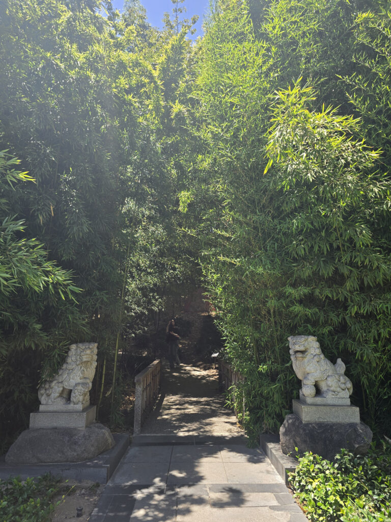 20260708_131016