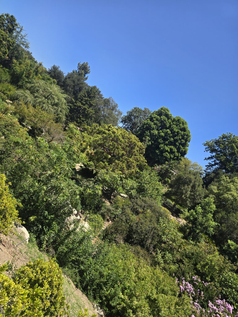 20260708_132309