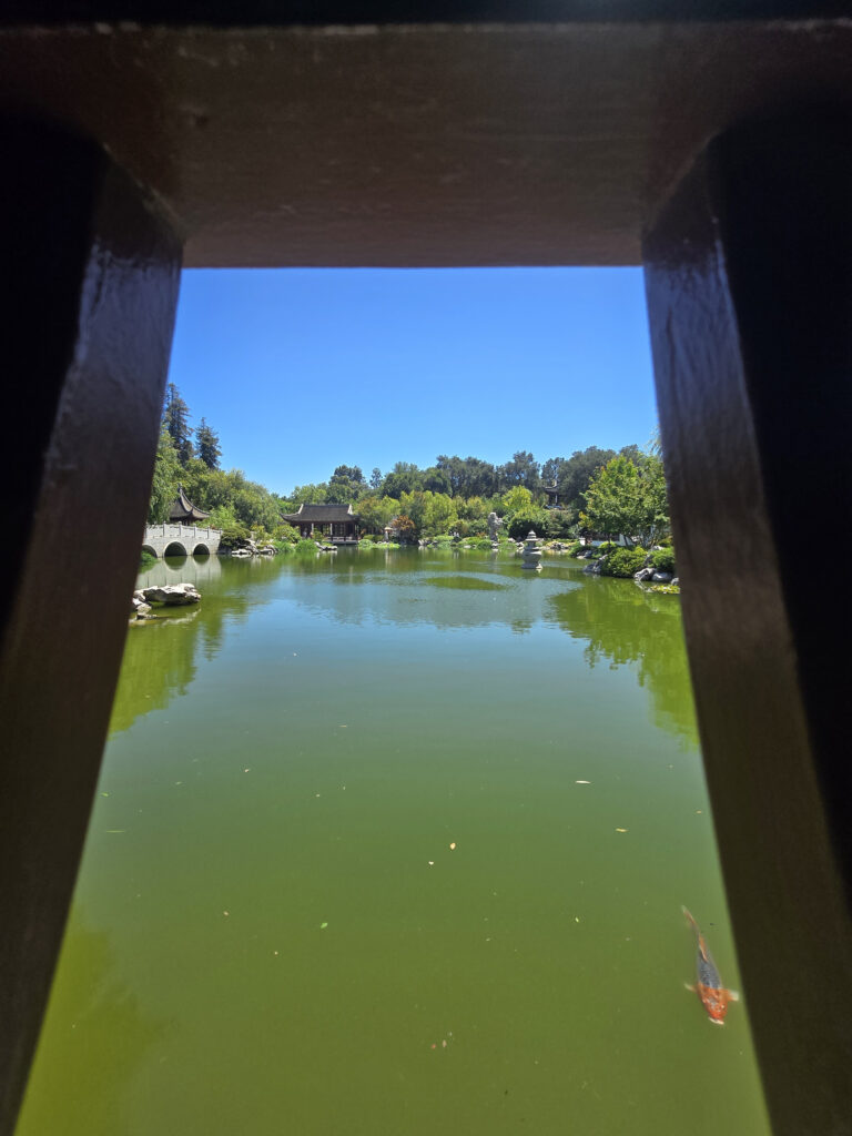 20260708_135345