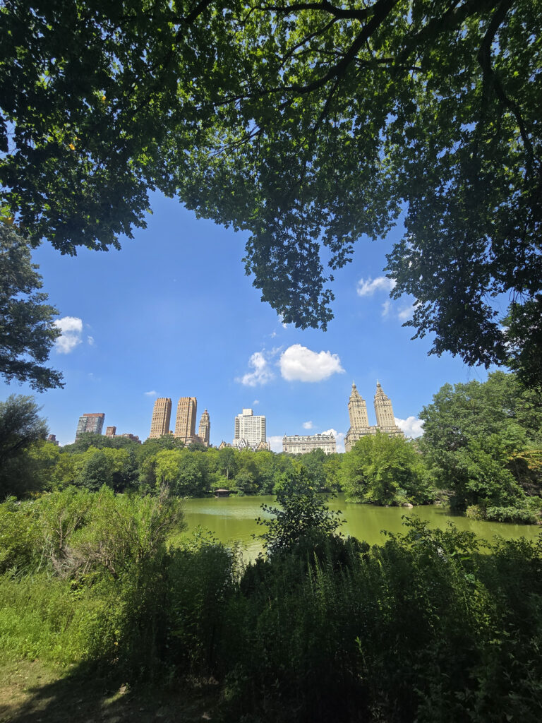 20260807_121126