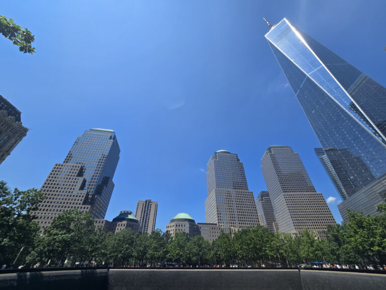 20260808_124431