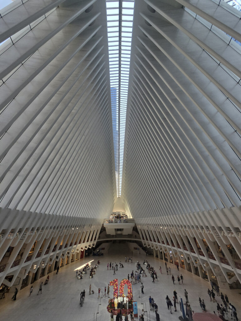 20260808_125321