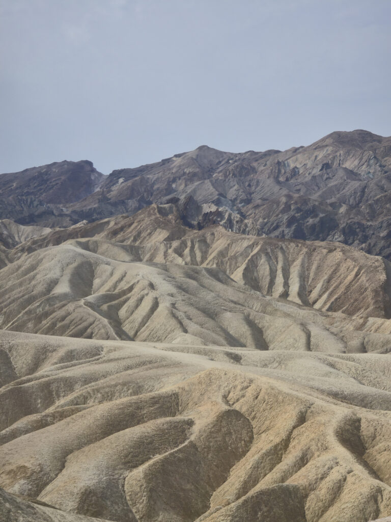 20260811_095019
