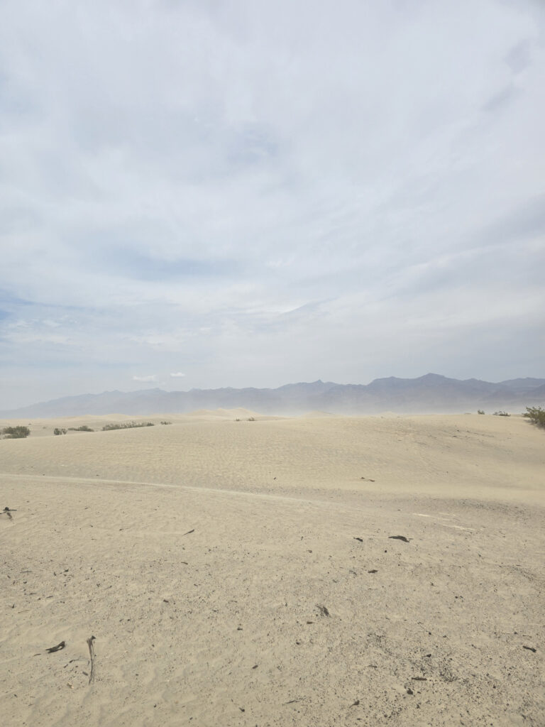 20260811_125308