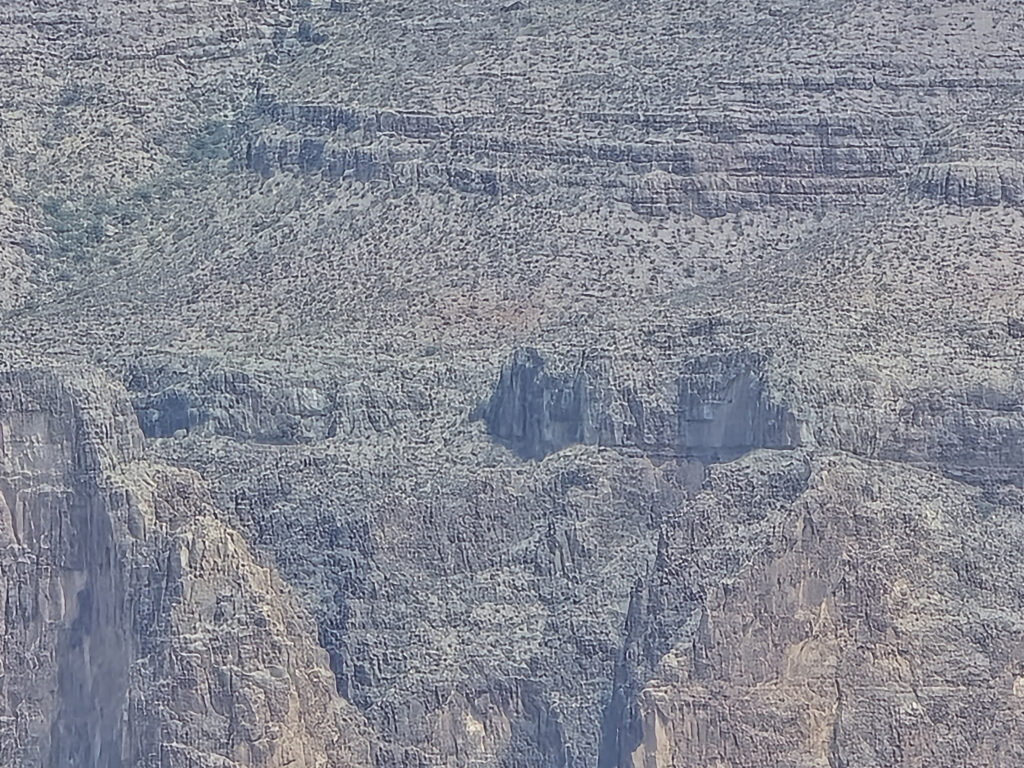20260812_131301