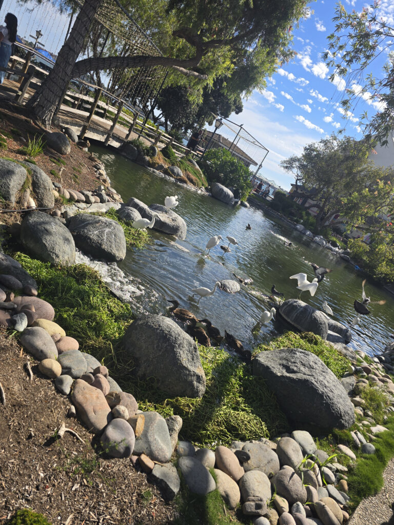 20260815_162448
