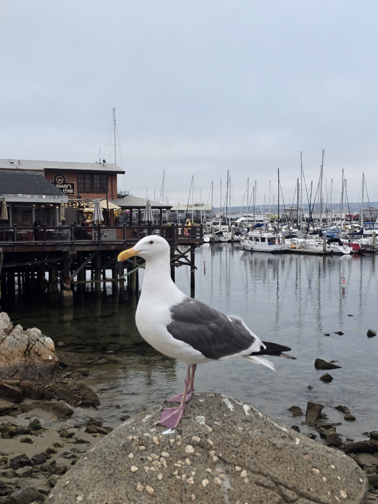 20260817_191245