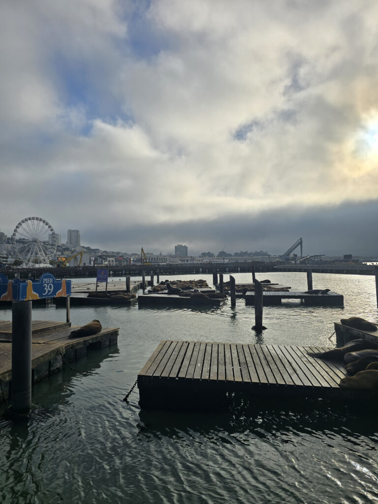 20260818_182354