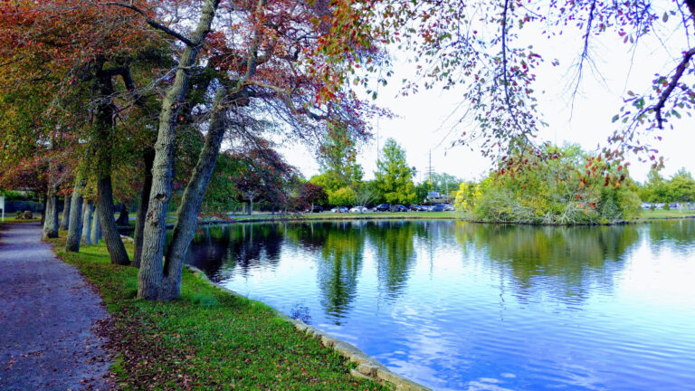 IMG_20171010_162245-EFFECTS-edited