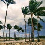 IMG_20180107_175318-EFFECTS-edited
