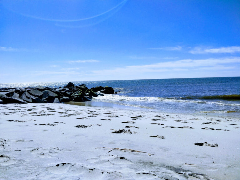 IMG_20180324_114748-EFFECTS-edited