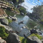 IMG_20260817_114004_307