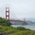 IMG_20260819_143853_421